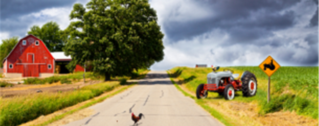 Farm Insurance policies all farmers should consider